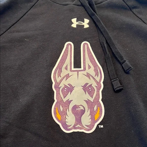 Under Armour Black Hoodie with GREAT DANES UAlbany Dog Logo University at Albany - Picture 2 of 7